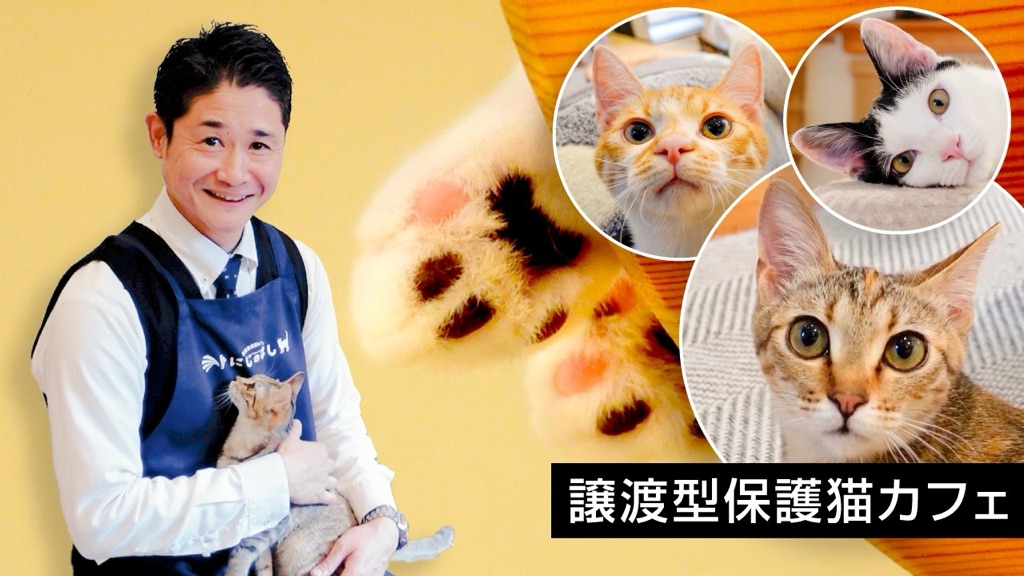 神奈川県平塚市 公式チャンネル 動画